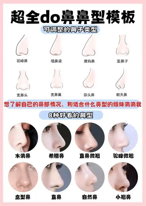 模板,看看你适合哪种❓

💗在面部美学里,鼻子能让一个人的
