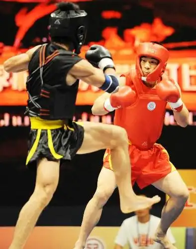 图文散打世界杯何光荣夺冠何光荣见招拆招