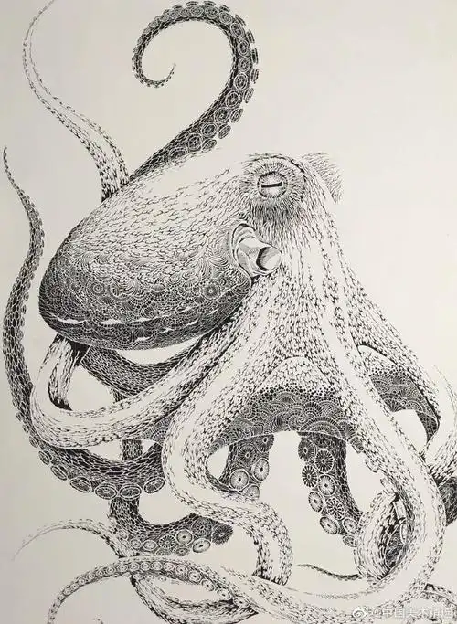 一只纸刻章鱼的诞生cr:中国美术精选#绘画##手工