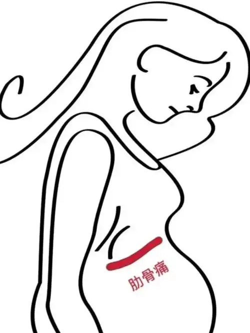 孕中期你们肋骨疼吗