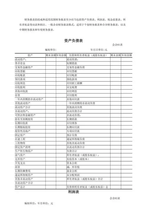 财务报表格式