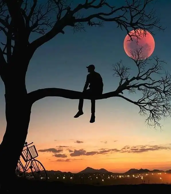 对生活无奈心累的图片