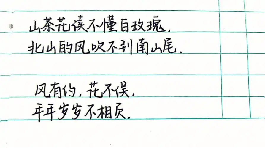 day4手写每日摘抄练字