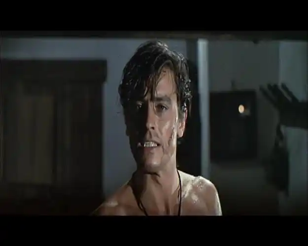 p>《黑郁金香》是由 a href="#" data-lemmaid="8547105">克里斯蒂安