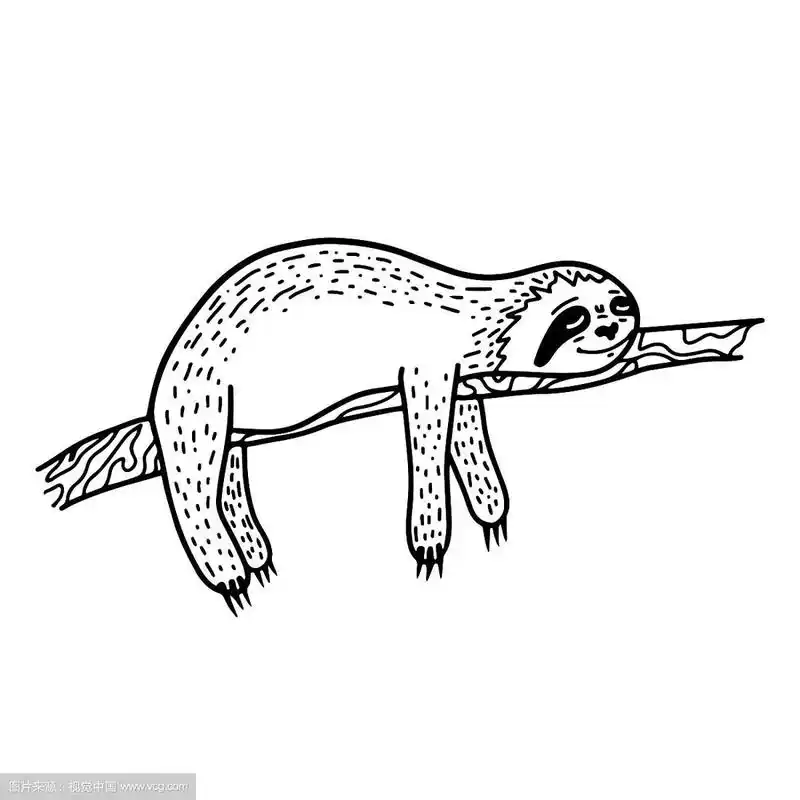 懒手画树懒睡在树枝上