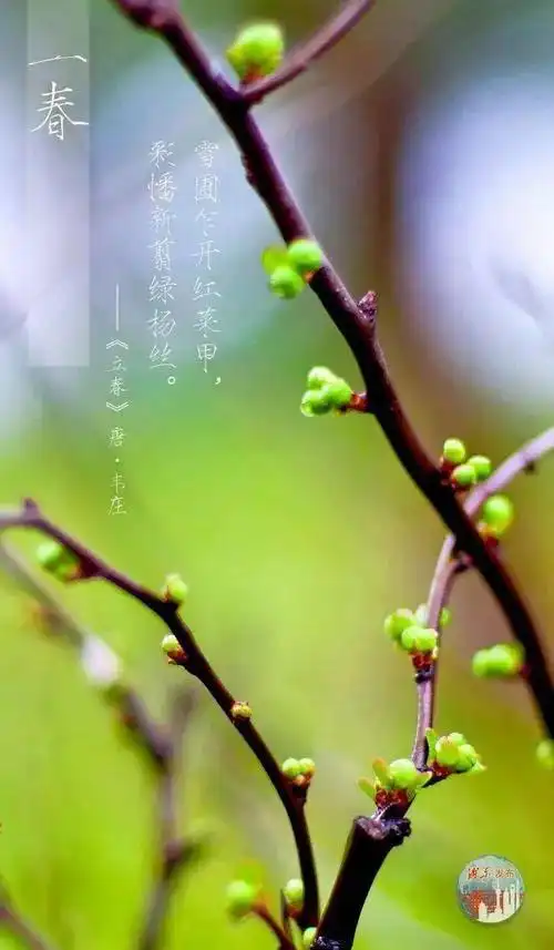 春回大地万物复苏春回大地万物复苏写一段话