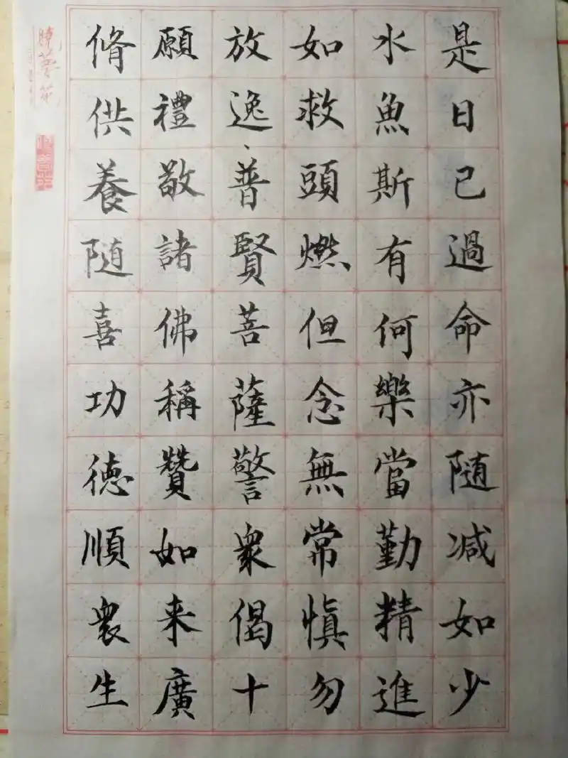 普贤菩萨警众偈 - 抖音