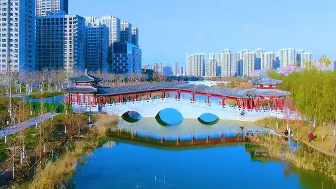 郓城|菏泽市|单县|牡丹区_网易订阅