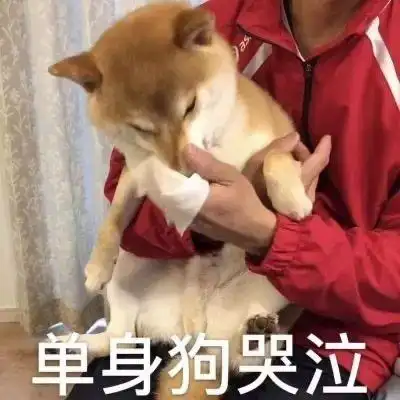 萌宠汪星人单身狗哭泣难受搞怪呆萌gif动图_动态图_表情包下载_soogif