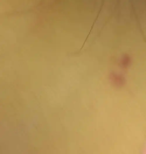 我老婆是否出轨?