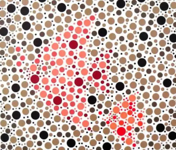 5张色盲色弱检测图第4张中的两种动物在农村很常见