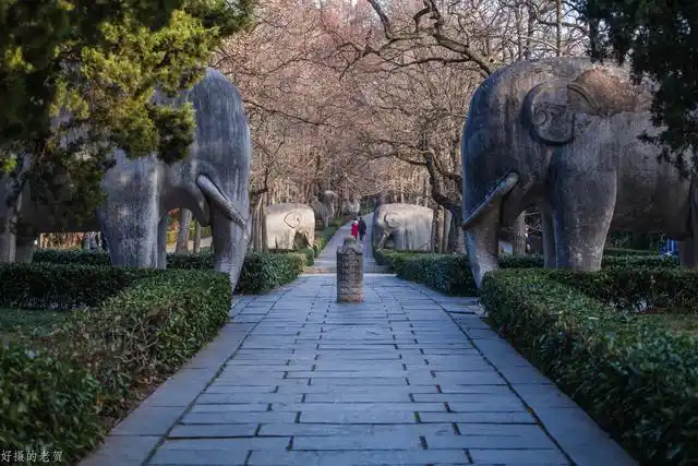 明孝陵神道的正确行走方式步行26公里感受朱元璋的霸气