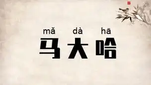 拼音[mǎ dà hā]繁体[馬大哈]注音[ㄇㄚˇ ㄉㄚˋ ㄏㄚ]年代[当代