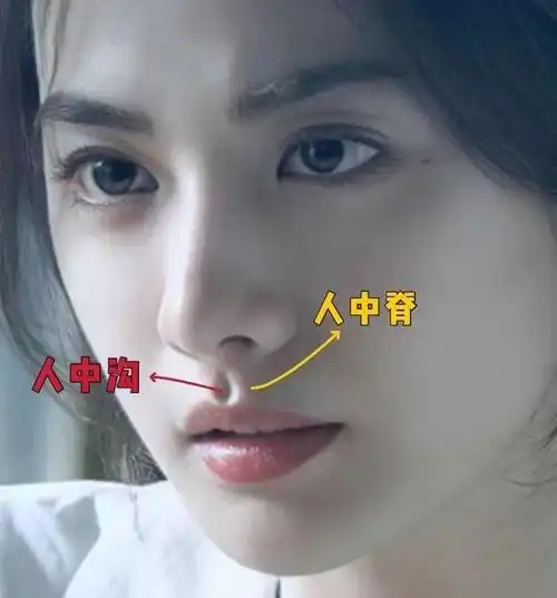 鼻小柱|景甜|区花|人中|大s_网易订阅