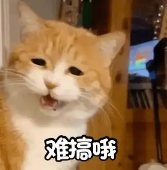 难搞gif头疼gif猫gif可爱gif呆萌gif