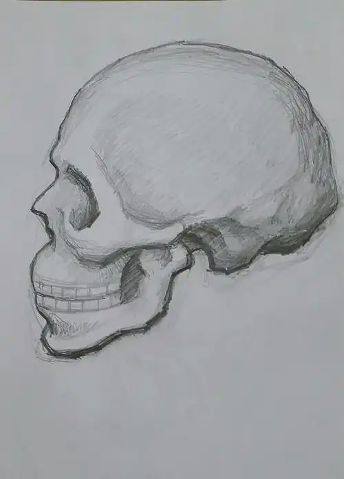 欣赏吴老师本课画好的头像结构素描稿.(侧面头骨结构素描)