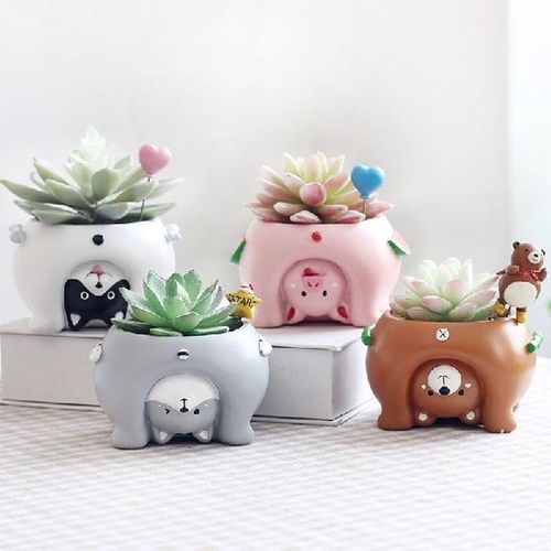 fleshy plant pots ornaments personalized creative animal