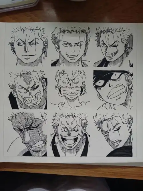 黑白针管笔手绘索隆海贼王