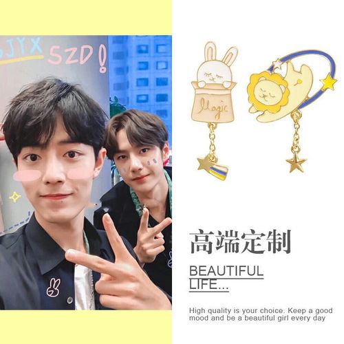 王一博肖战兔子胸针男女可爱日系徽章小狮子别针扣装饰ins潮个性