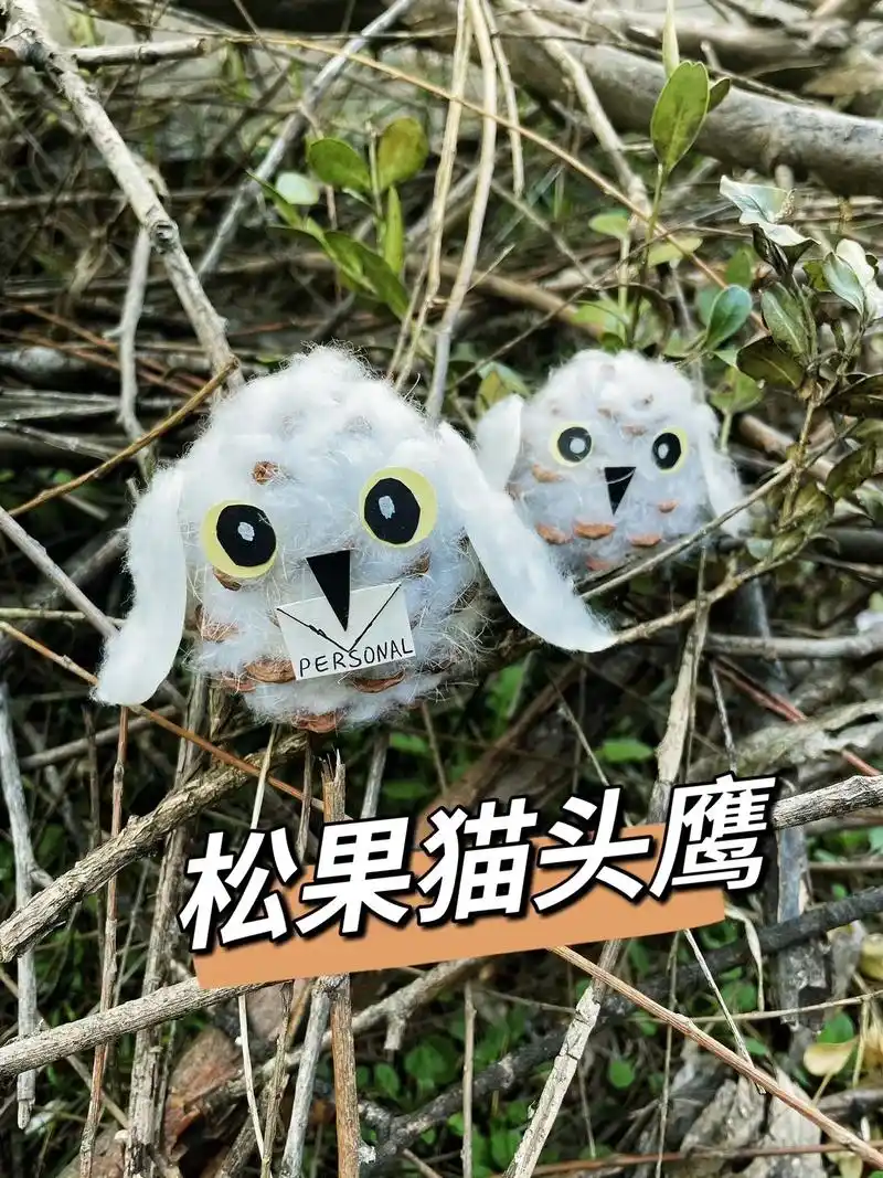 自然手工|松果猫头鹰制作教程01.#送信的猫头鹰#松果猫头鹰 - 抖音