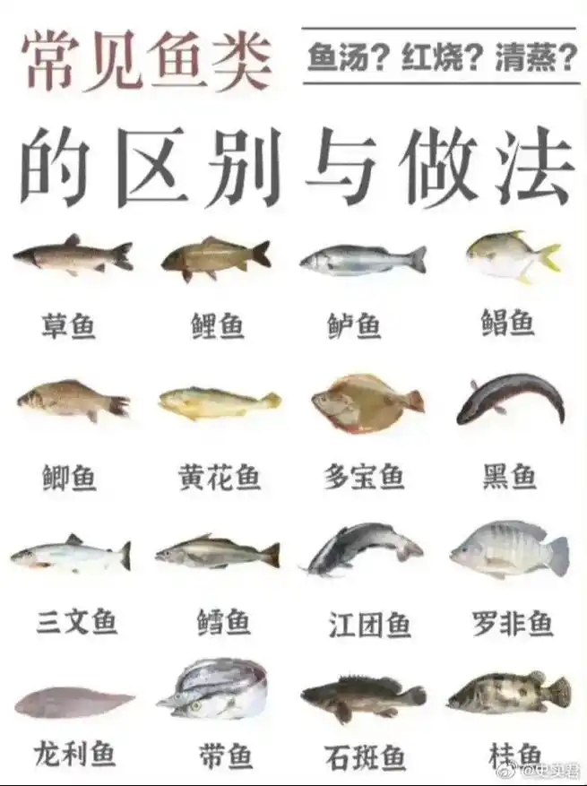 常见各种鱼类的区别和做法.#科普一下 - 抖音