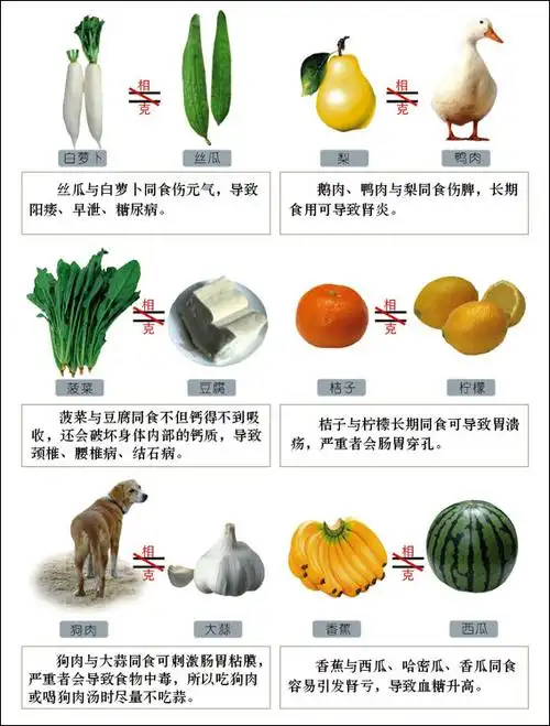 食物相克对照表完整版!【健康百科】 - 无为居士 - 聚美斋