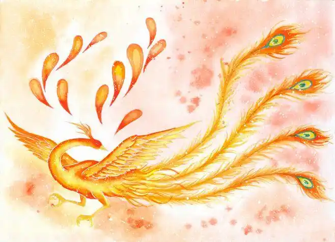 凤凰-花瓣网|陪你做生活的设计师 | 凤凰羽毛