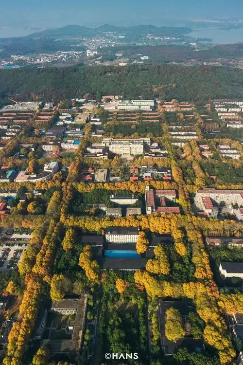 各个学院的拖拉机,收割机,运输机……巡游校园,汇成狮子山一道轰轰烈