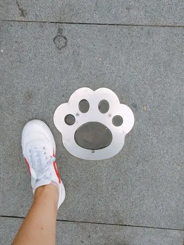 快到大门口的时候我被路上熊猫的脚印吸引住了,赶快和熊猫脚印合个影