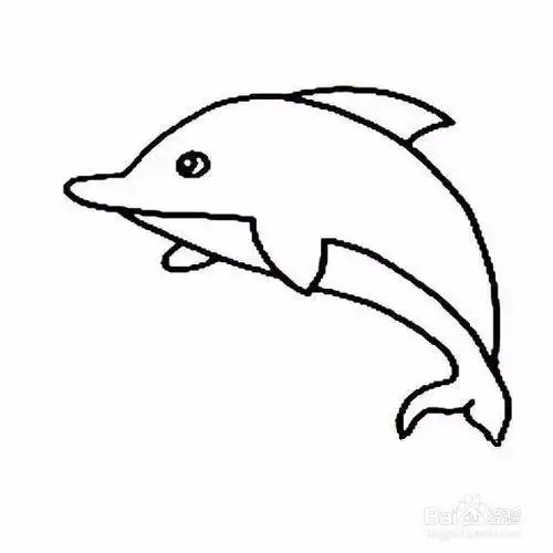 怎样画海豚才可爱简笔画