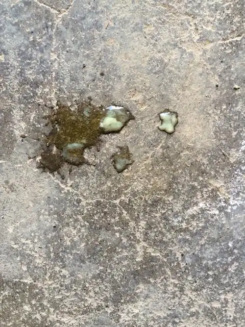 白色大便,怎么回事?只看楼主