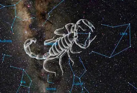 属相属猪b型血的人性格,属猪天枰座b型血,男,17,的性格特点