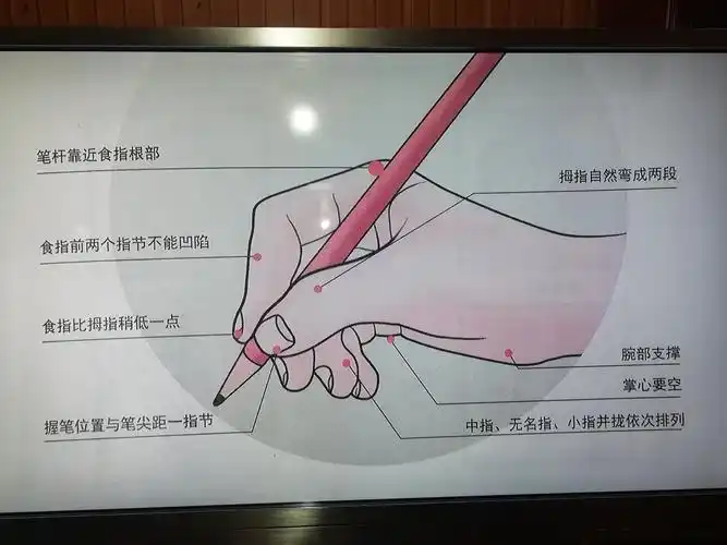 星欣教育九校二年级硬笔书法课程展示