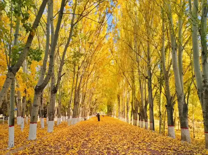去年秋天的风景,朋友圈的美图