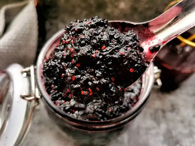 桑葚的吃法(桑葚和红枣搭配)_环球信息网