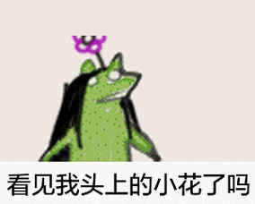 青蛙表情包