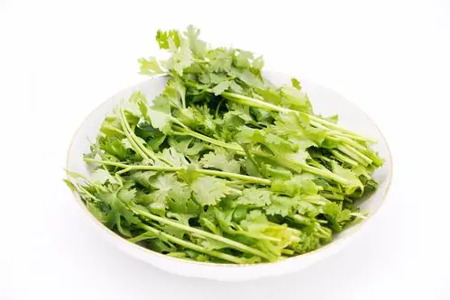 香菜