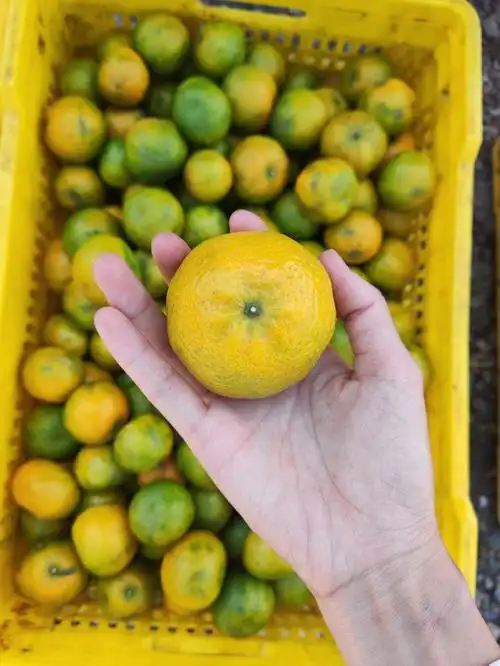 1080_1439竖版 竖屏