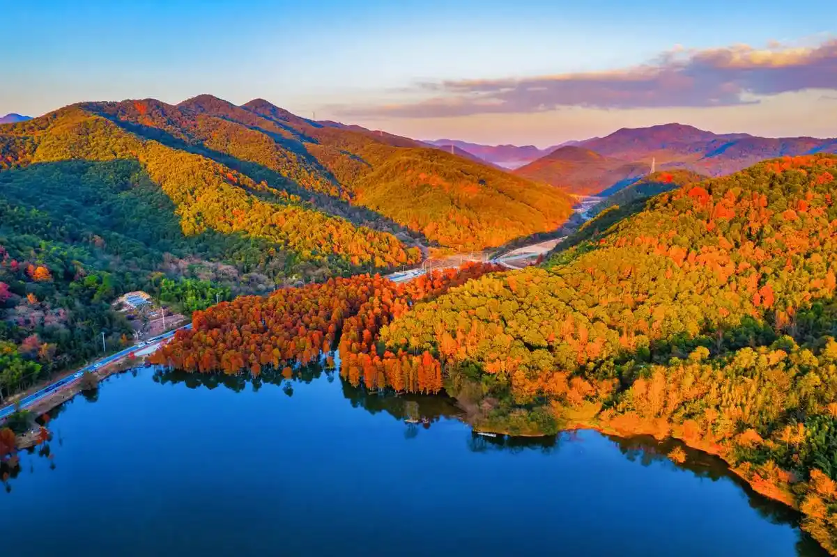 千万不要去石井水库,我怕把你美哭了#石井水库 #航拍 #秋天 - 抖音