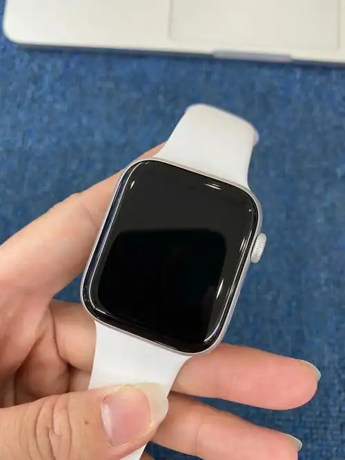 苹果手表 6代 44mm gps版 原装 带充电器 成色98新 价格1988元