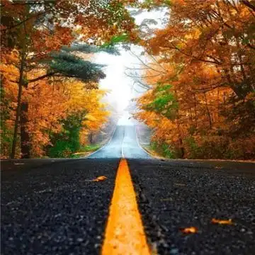 霸道超拽戴帽帅气男生头像2019 你不在后我的生活黯淡无光,男生头像图