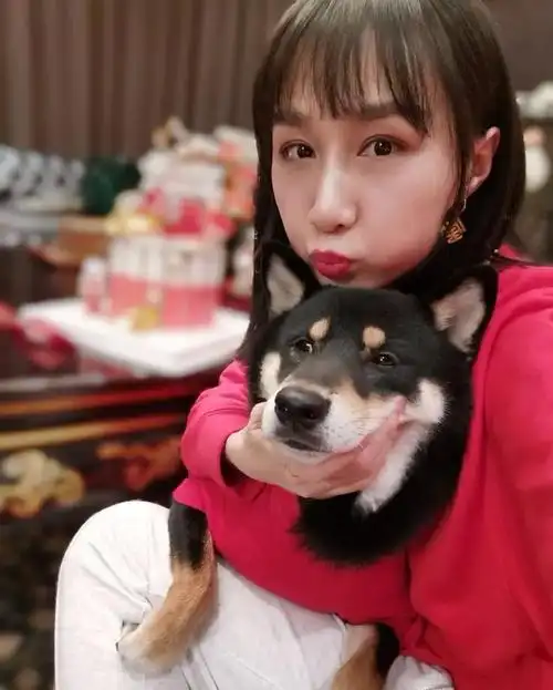 雷佳音老婆翟煦飞罕见现身接机前夫哥做防护措施毫不留情