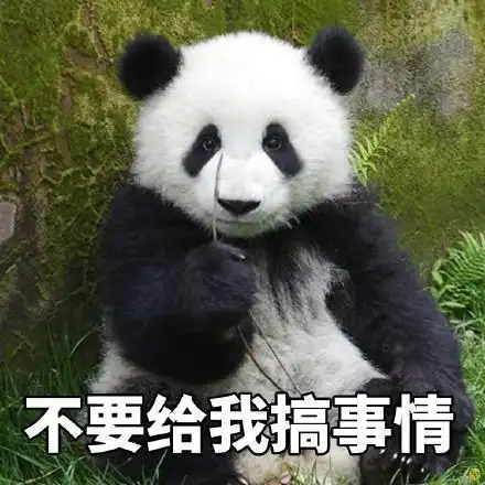 大熊猫 超萌 表情包_网易订阅