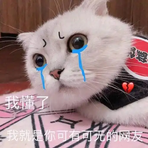 哭:我懂了,我就是你可有可无的网