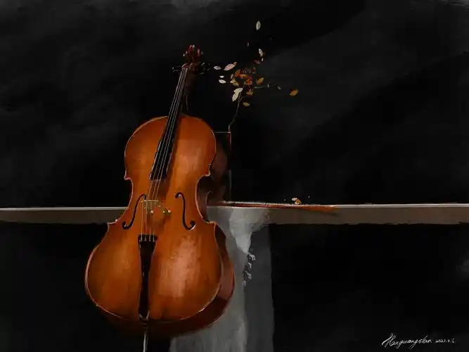 大提琴|插画|商业插画|fiinic - 原创作品 - 站酷 (zcool)