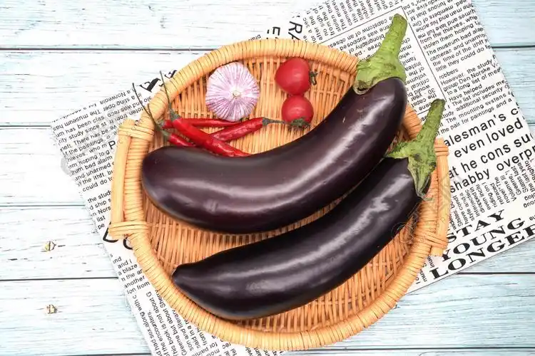 新鲜有机蔬菜长条茄子