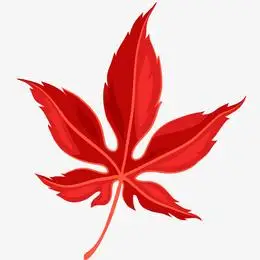 红色枫叶矢量插画