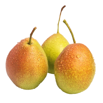 年货直播山西小红香酥梨小梨子6080g3斤装净重28斤