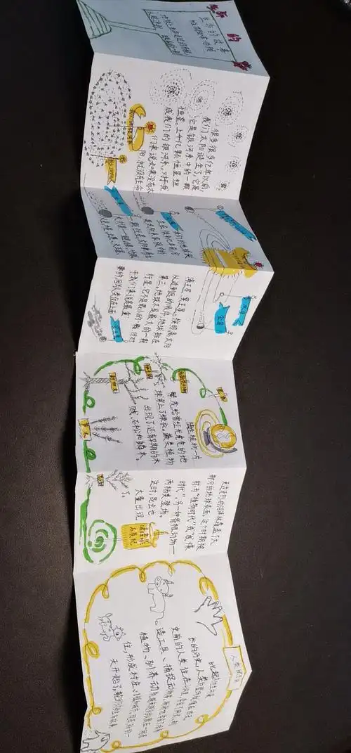 我的口袋拉拉书