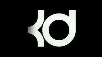 锐步早早久违艾弗森制定了签名球鞋与logo